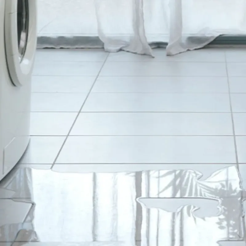 Appliance Leak Cleanup in McLean County, KY
