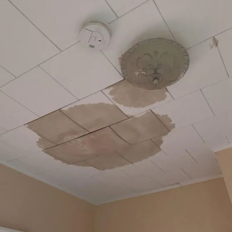 Ceiling Water Damage Repair in McLean County, KY
