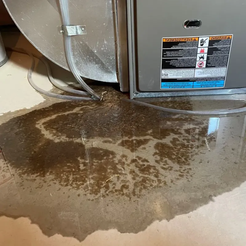 Pipe Burst and Leak Restoration in McLean County, KY