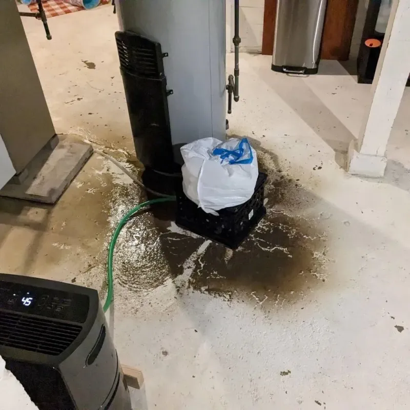 Sewage Backup Cleanup Service in McLean County, KY